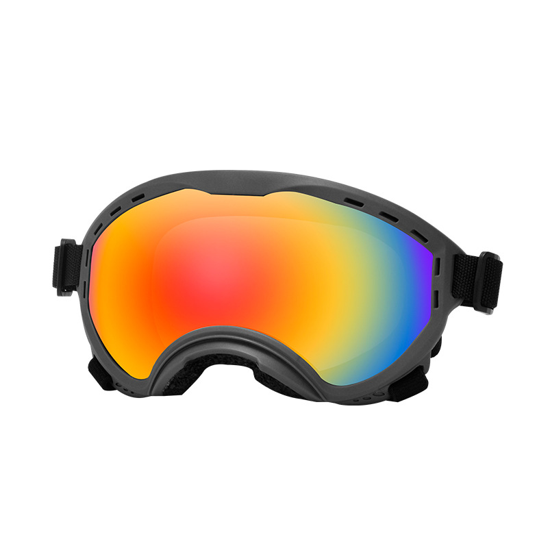 Travel Accessories Ideas - Gafas de sol para mascotas, protección